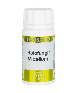 Alternative view of Holofungi Micelium