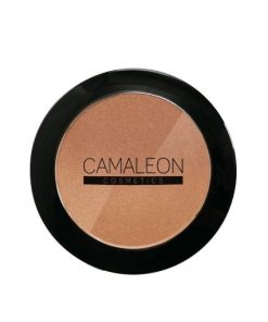 POLVOS BRONCERADORES 10GR