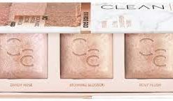 Alternative view of CATRICE,  CLEAN ID MINERAL, PALETA DE ILUMINADORES 010