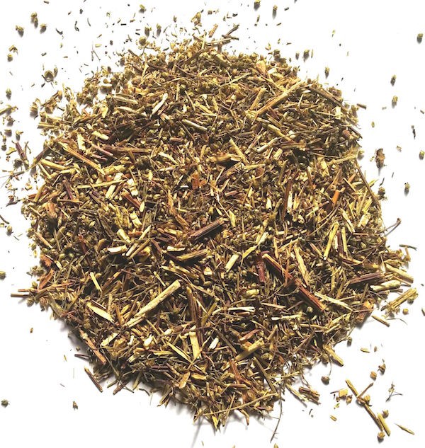Ajenjo – Artemisa, Sumidad Florida (Artemisia absinthium)
